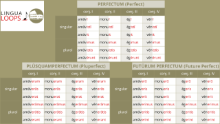 Lingua Loops Latin Conjugation And Declension Songs